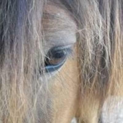 Ferme Equestre Les Chevaliers Hotel Penol Luaran gambar