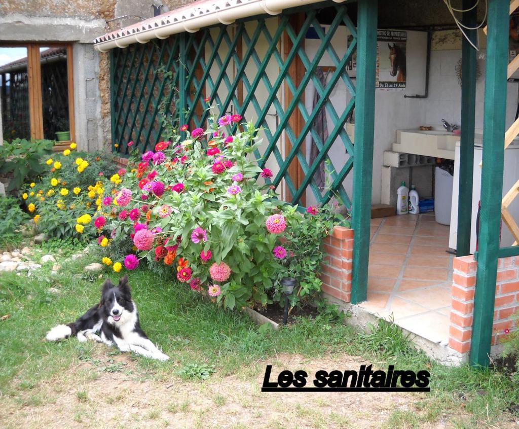 Ferme Equestre Les Chevaliers Hotel Penol Luaran gambar