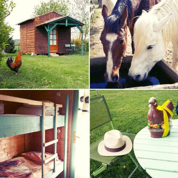 Ferme Equestre Les Chevaliers Hotel Penol Luaran gambar