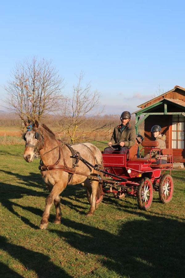Ferme Equestre Les Chevaliers Hotel Penol Luaran gambar
